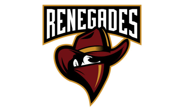 Кибер команда Renegades