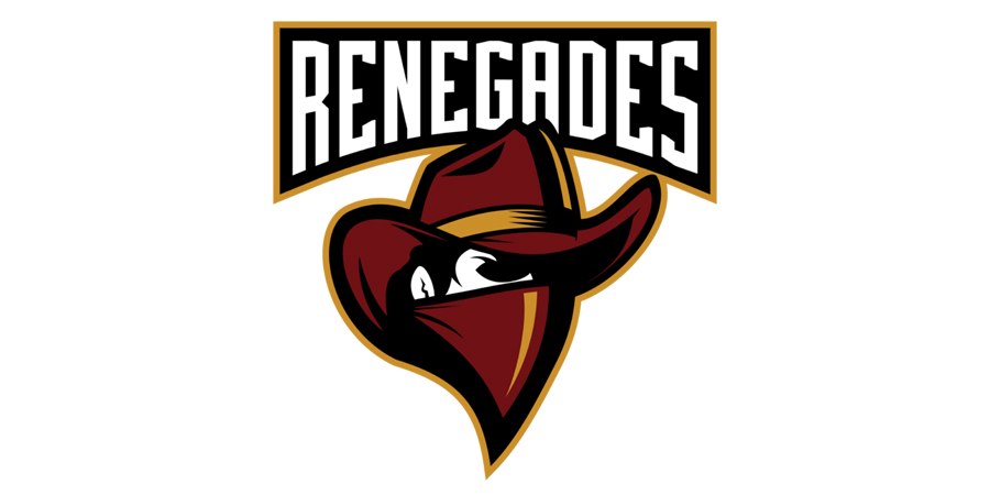 Кибер команда Renegades