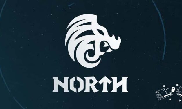 Кибер команда North